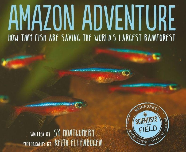 Vorderes Coverbild Amazon Adventure