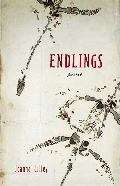Vorderes Coverbild Endlings