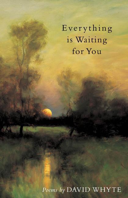 Vorderes Coverbild Everything Is Waiting for You