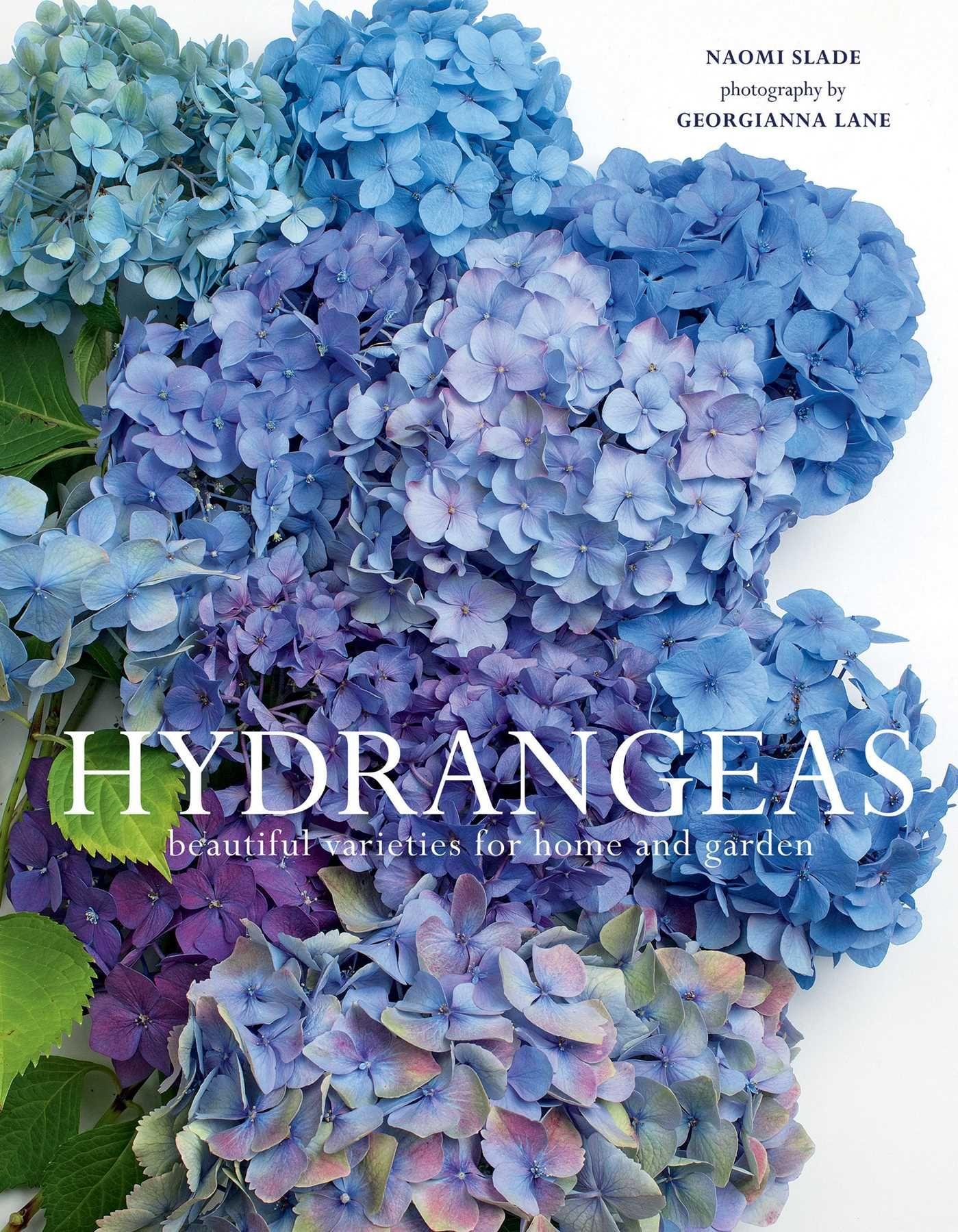 Vorderes Coverbild Hydrangeas