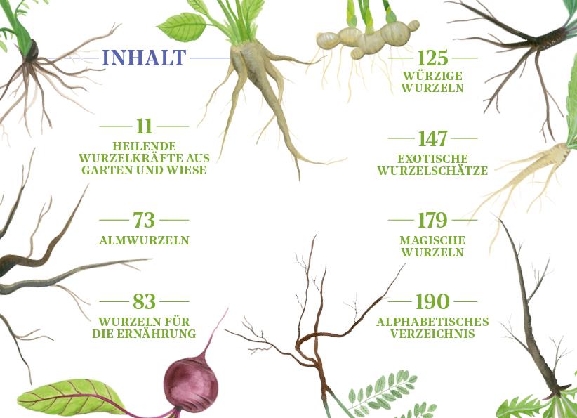Beispielinhalt (Bild) Die Kraft der Wurzeln