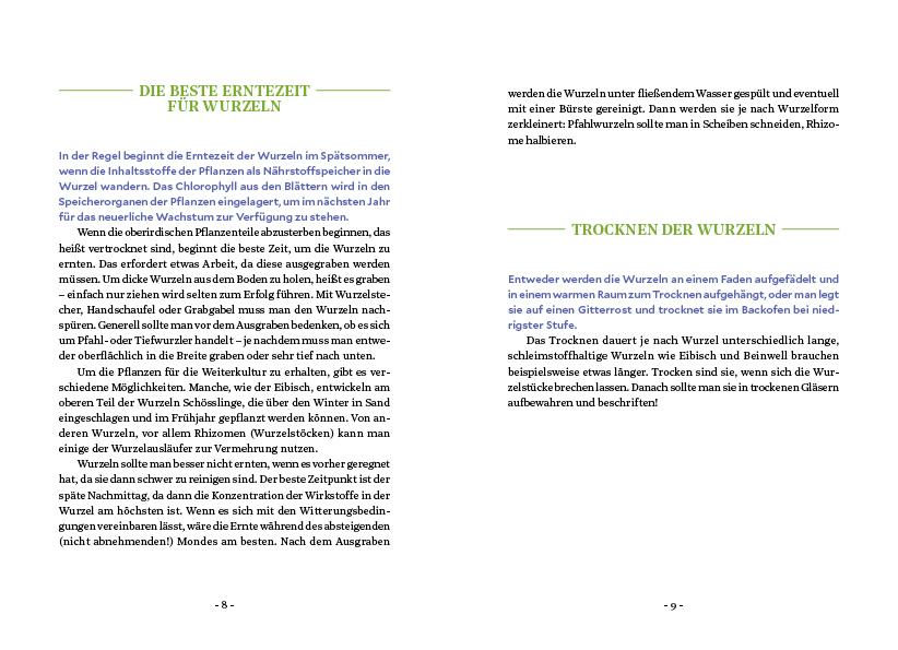 Beispielinhalt (Bild) Die Kraft der Wurzeln