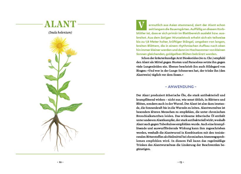 Beispielinhalt (Bild) Die Kraft der Wurzeln