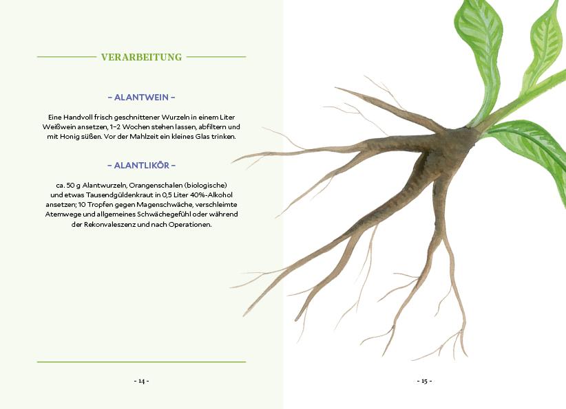 Beispielinhalt (Bild) Die Kraft der Wurzeln