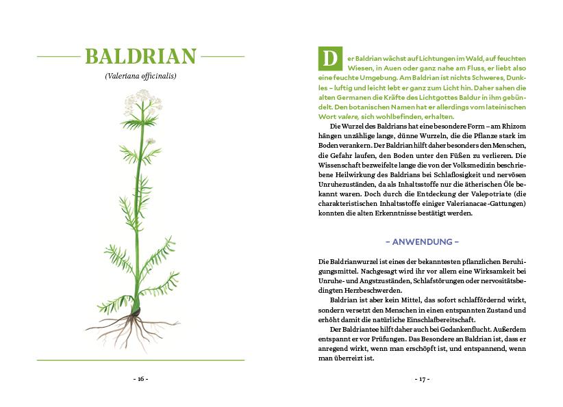 Beispielinhalt (Bild) Die Kraft der Wurzeln