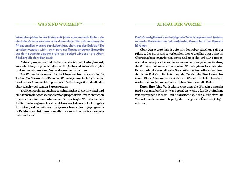 Beispielinhalt (Bild) Die Kraft der Wurzeln
