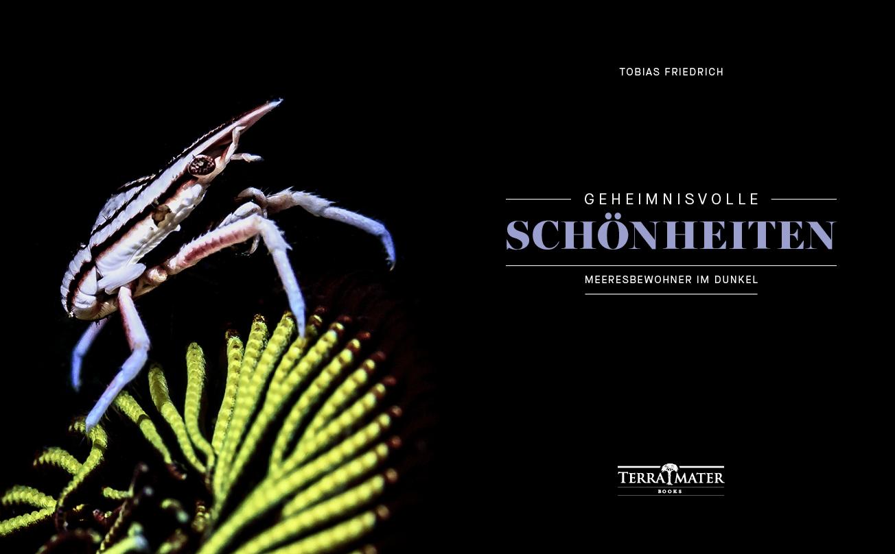 Beispielinhalt (Bild) Geheimnisvolle Schönheiten