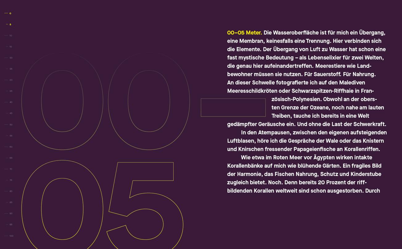 Beispielinhalt (Bild) Geheimnisvolle Schönheiten