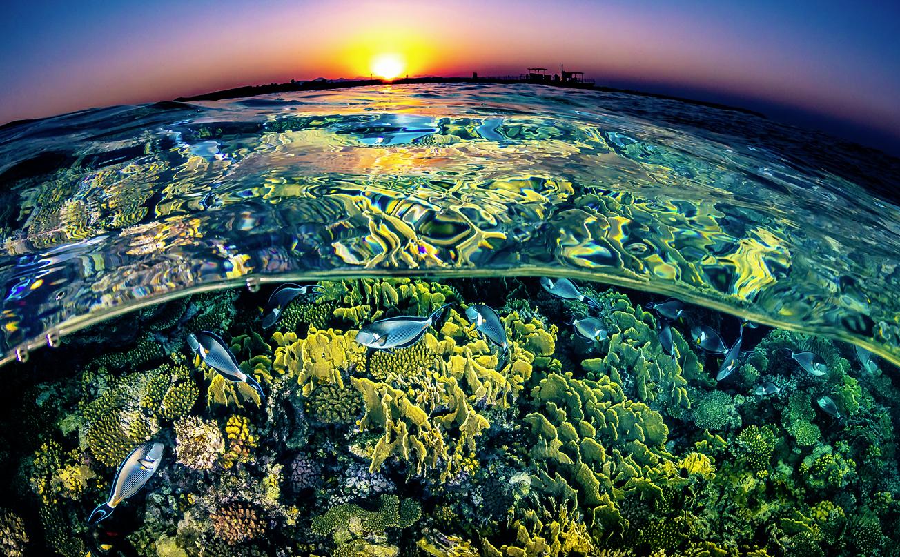 Beispielinhalt (Bild) Geheimnisvolle Schönheiten