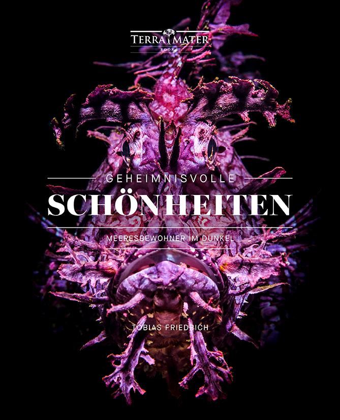 Vorderes Coverbild Geheimnisvolle Schönheiten