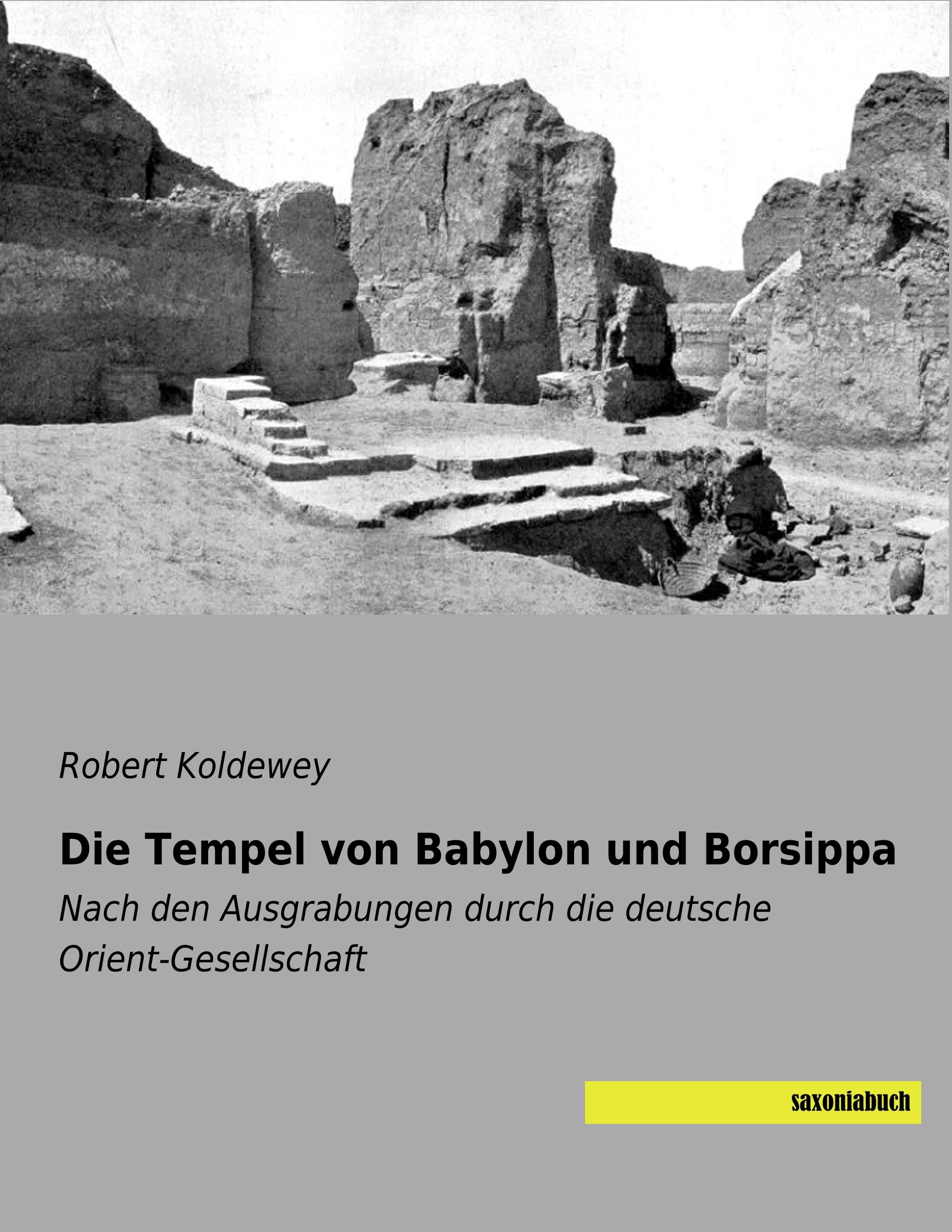 Vorderes Coverbild Die Tempel von Babylon und Borsippa