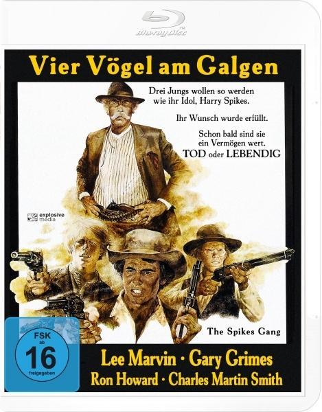 Vorderes Coverbild Vier Vögel am Galgen