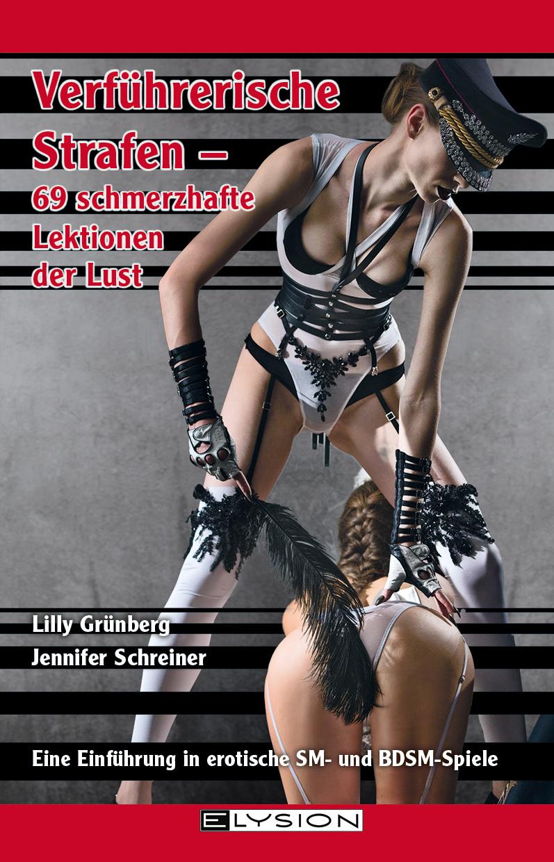 Vorderes Coverbild Verführerische Strafen