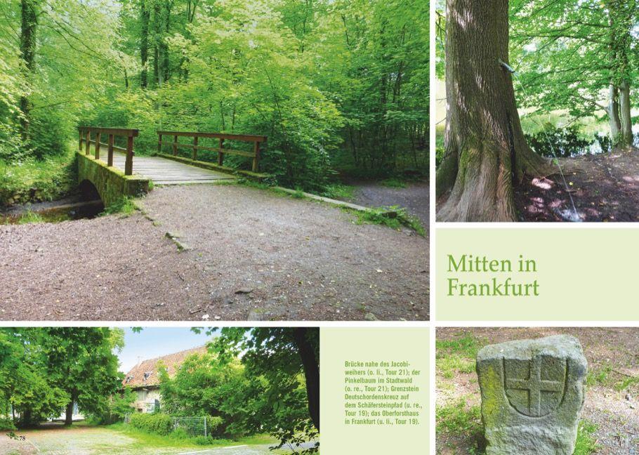 Beispielinhalt (Bild) Waldpfade Frankfurt