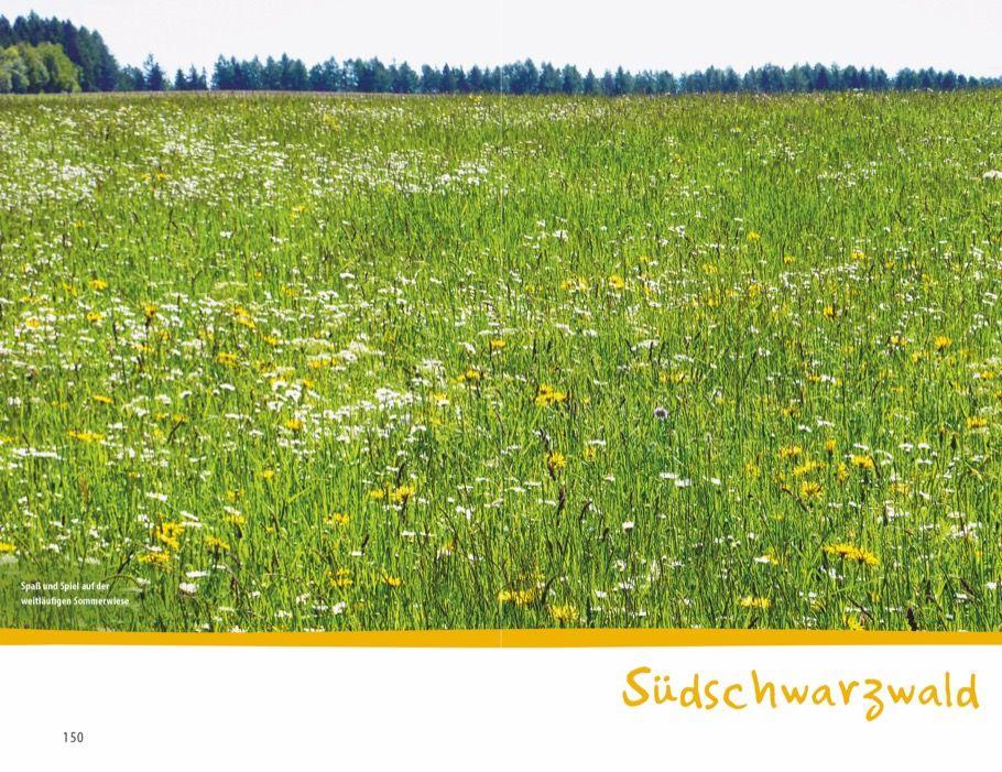 Beispielinhalt (Bild) Wanderspaß mit Kindern - Schwarzwald