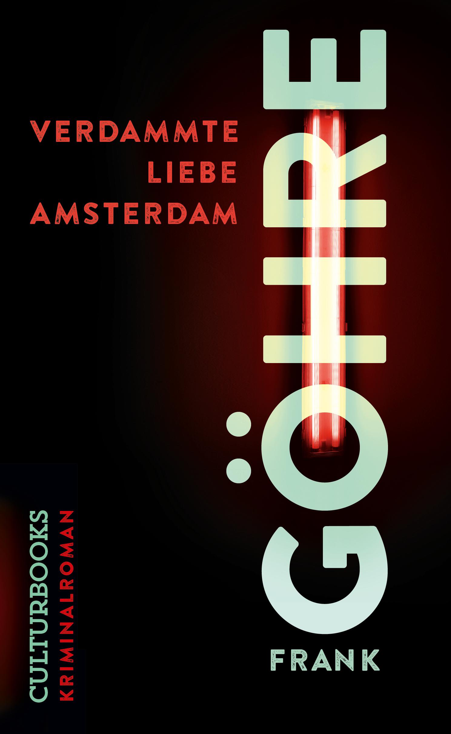 Vorderes Coverbild Verdammte Liebe Amsterdam