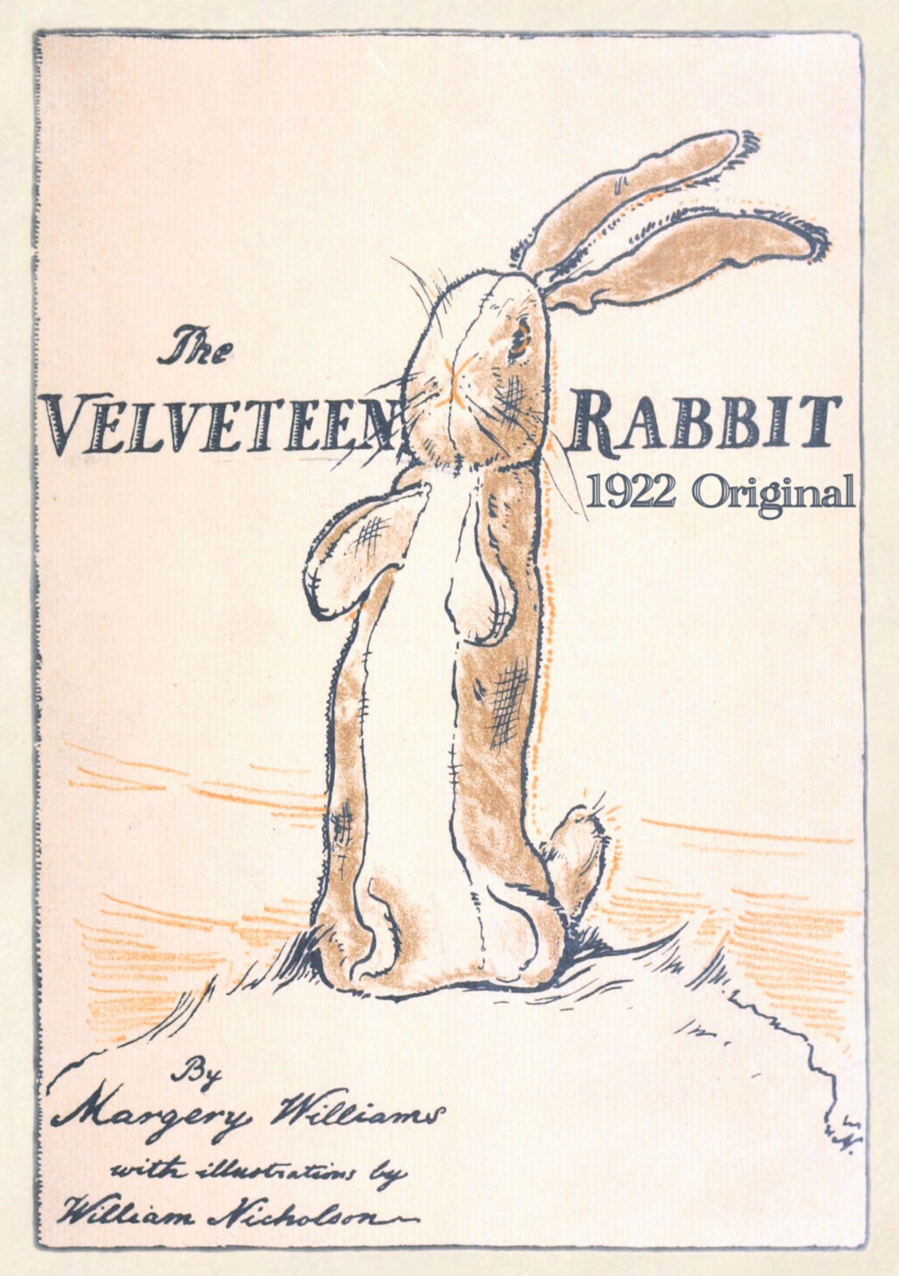 Vorderes Coverbild The Velveteen Rabbit