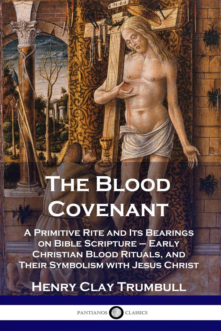 Vorderes Coverbild The Blood Covenant