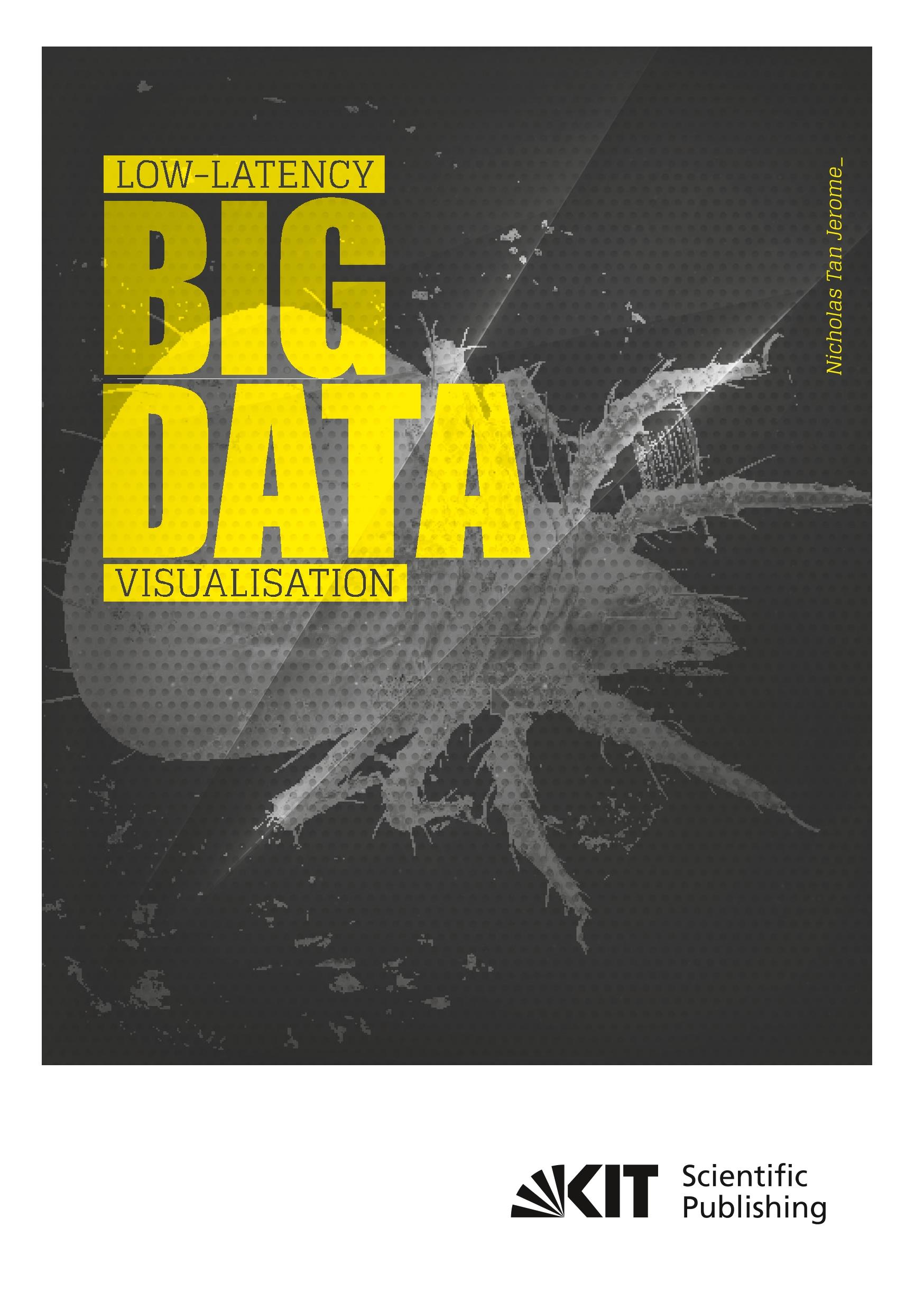 Vorderes Coverbild Low-latency big data visualisation