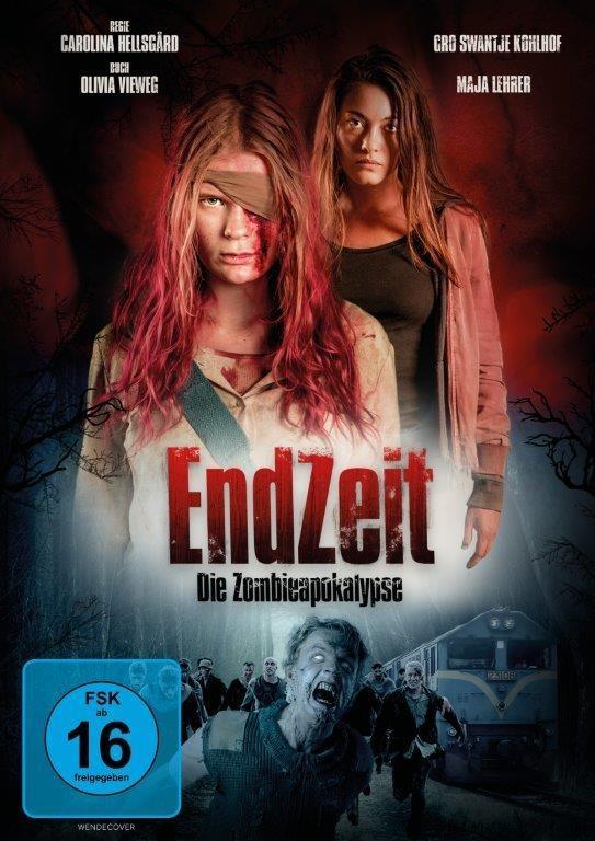 Vorderes Coverbild Endzeit
