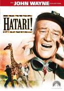 Vorderes Coverbild Hatari!