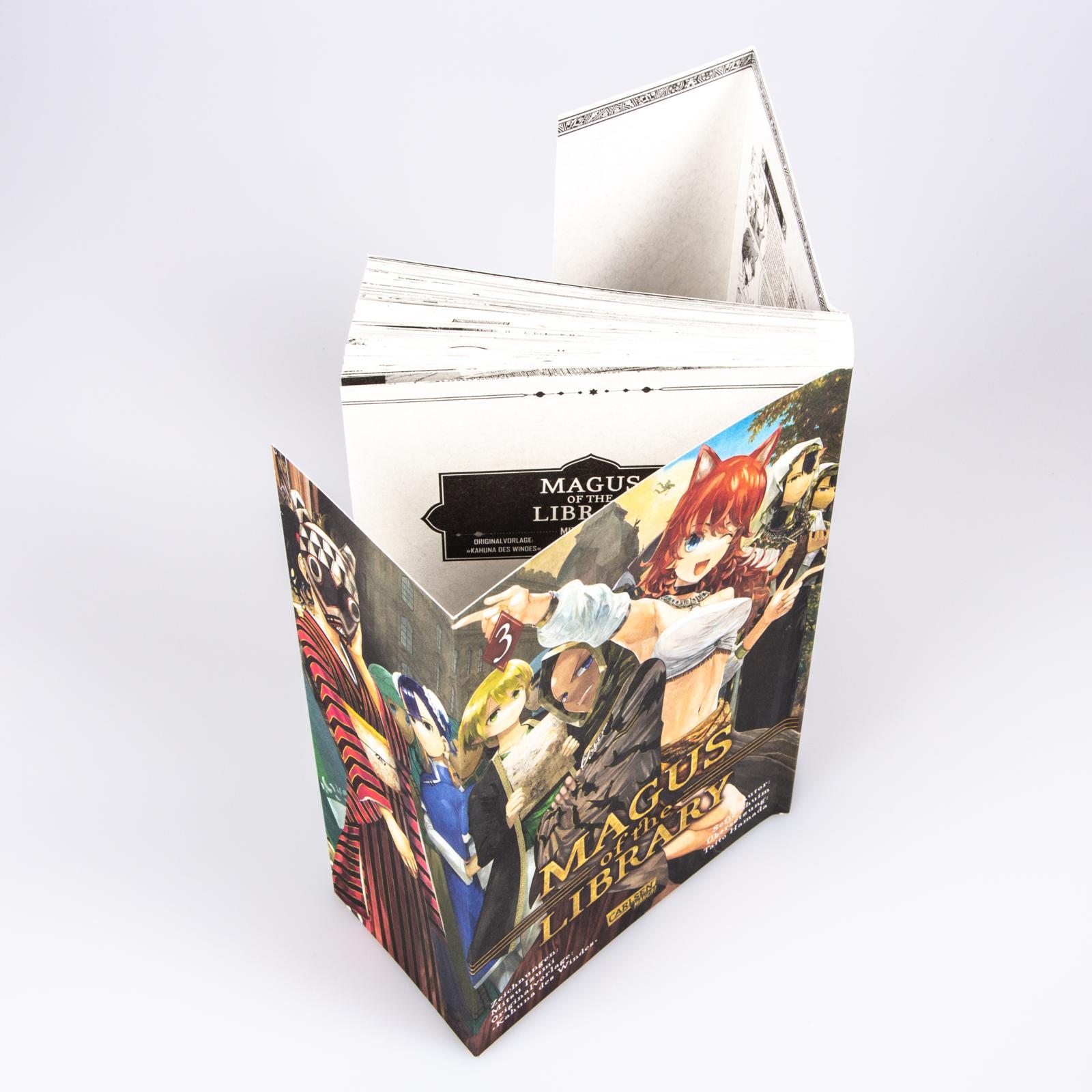 Beispielinhalt (Bild) Magus of the Library  3