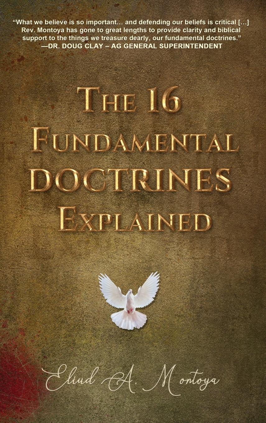 Vorderes Coverbild The 16 Fundamental Doctrines Explained