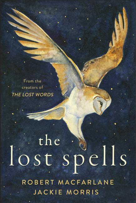 Vorderes Coverbild The Lost Spells