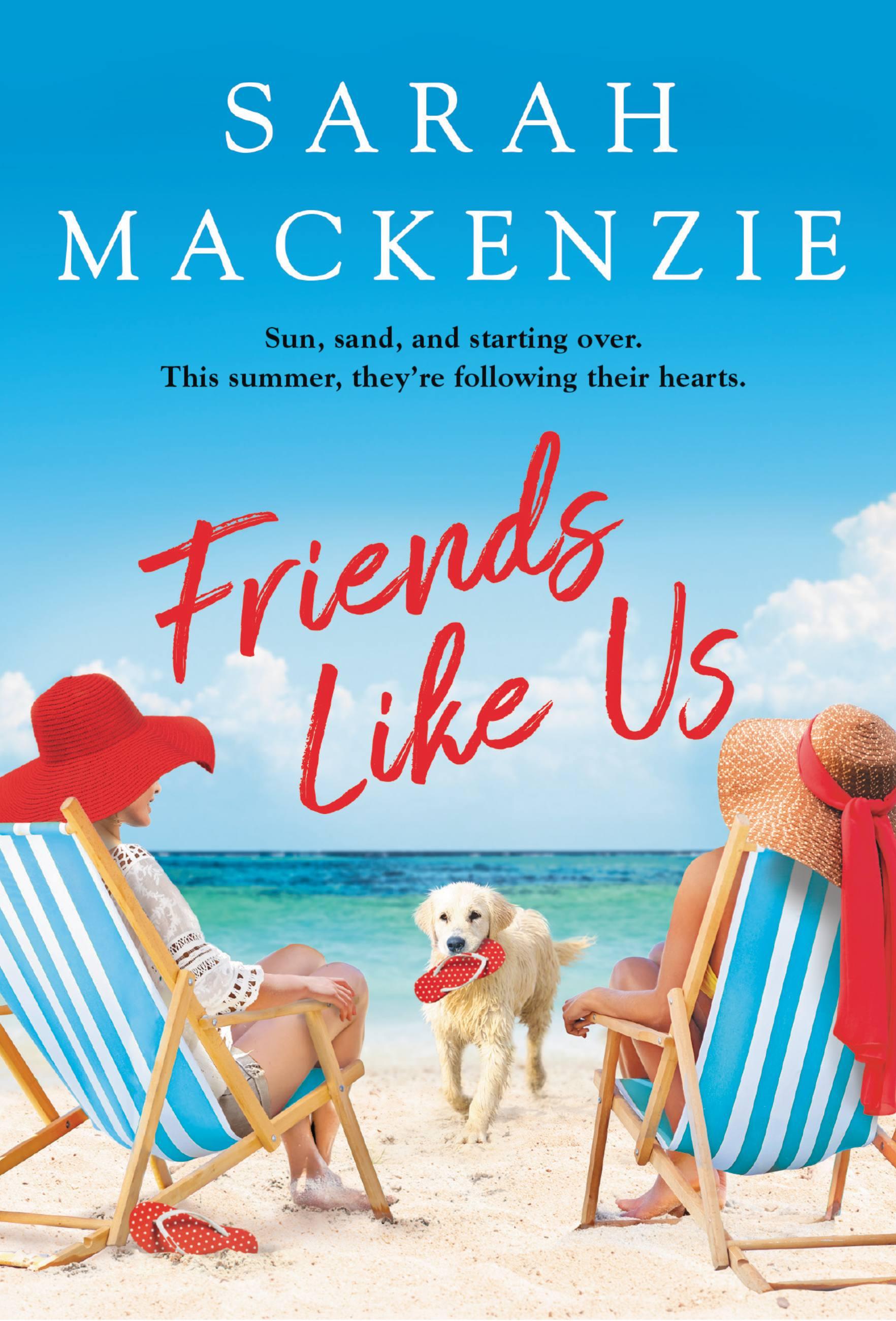 Vorderes Coverbild Friends Like Us