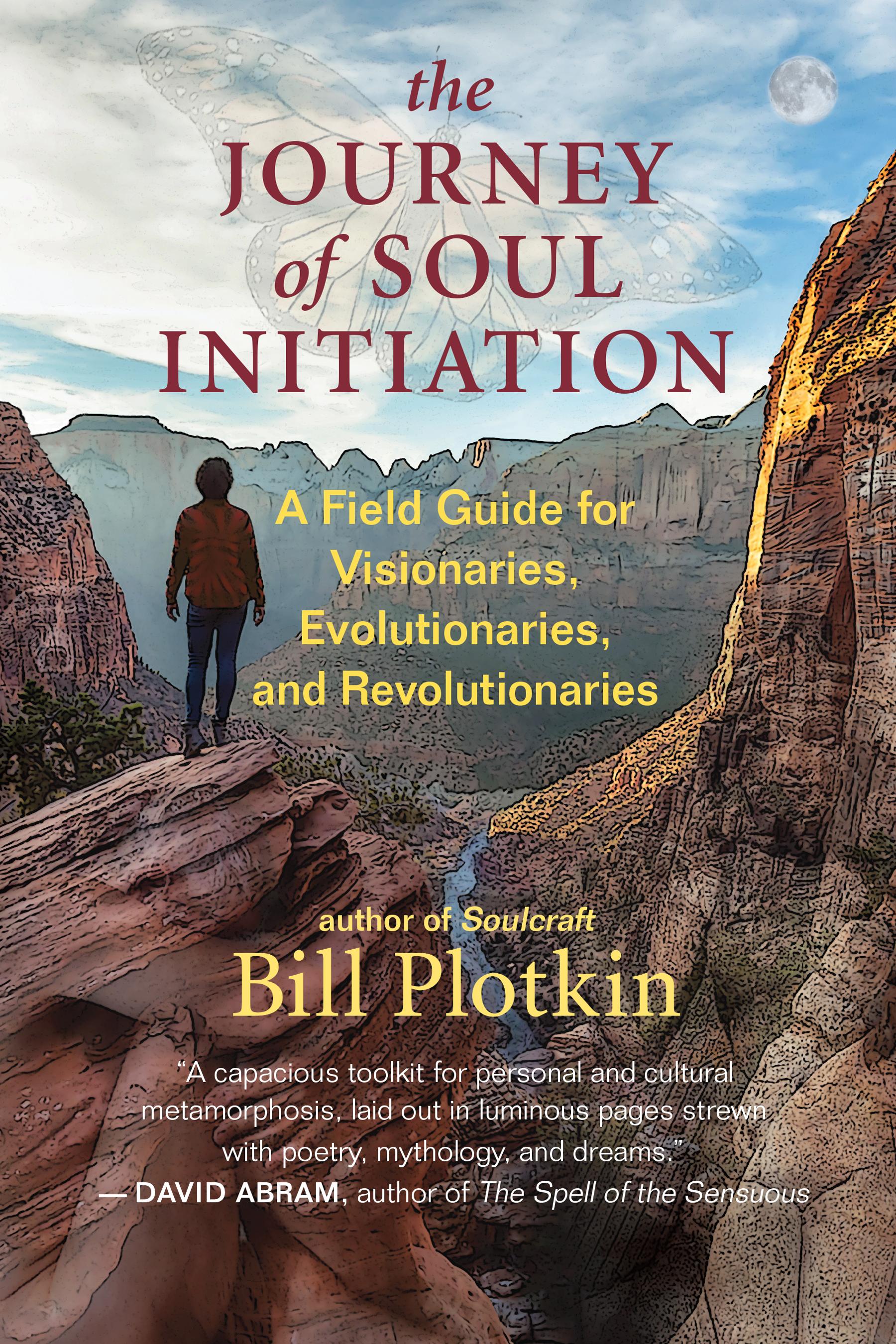 Vorderes Coverbild The Journey of Soul Initiation