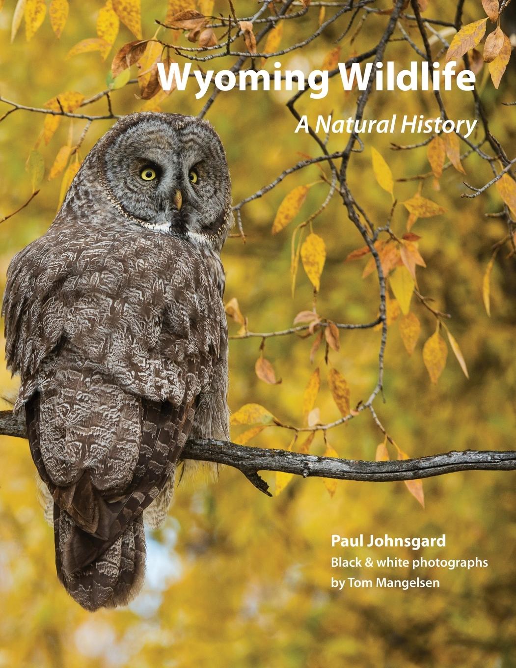 Vorderes Coverbild Wyoming Wildlife