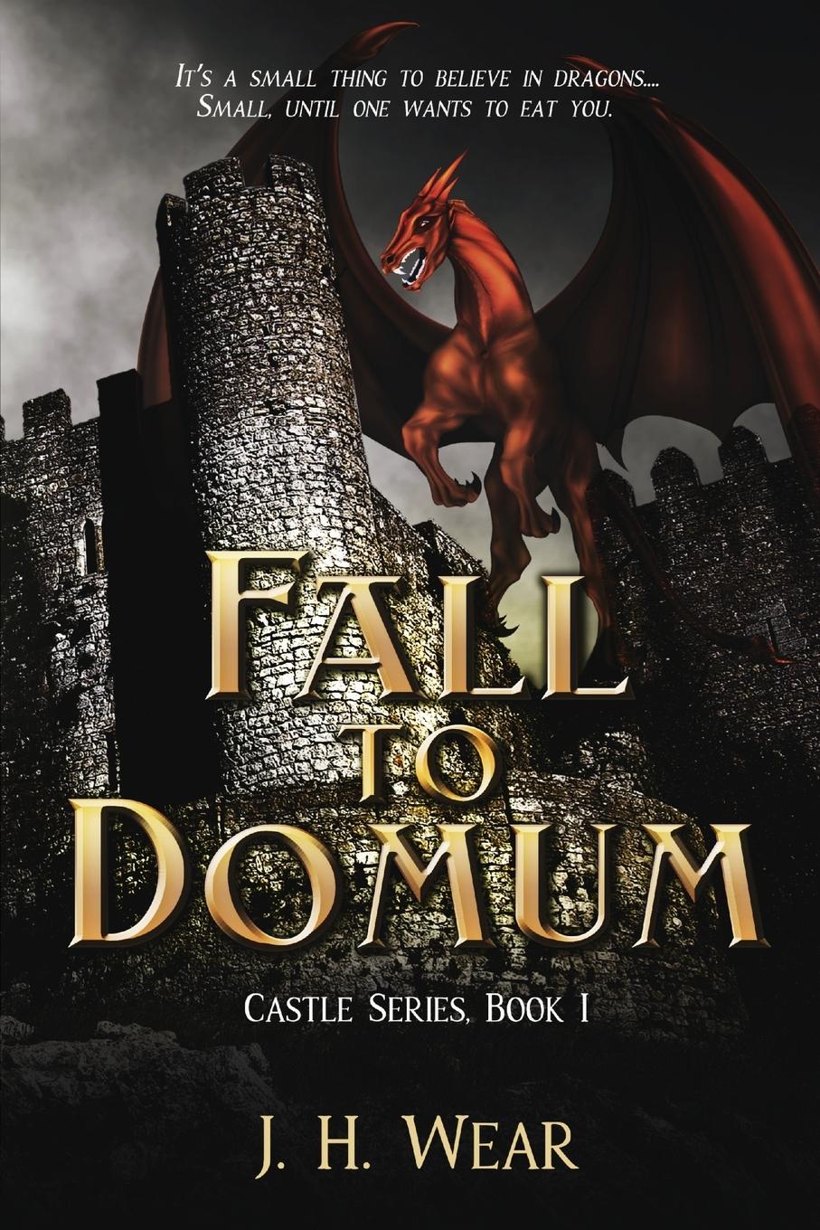 Vorderes Coverbild The Fall to Domum, Castle, Book 1