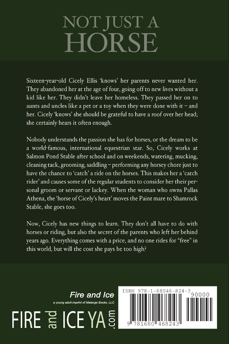 Rückseitencover Not Just a Horse