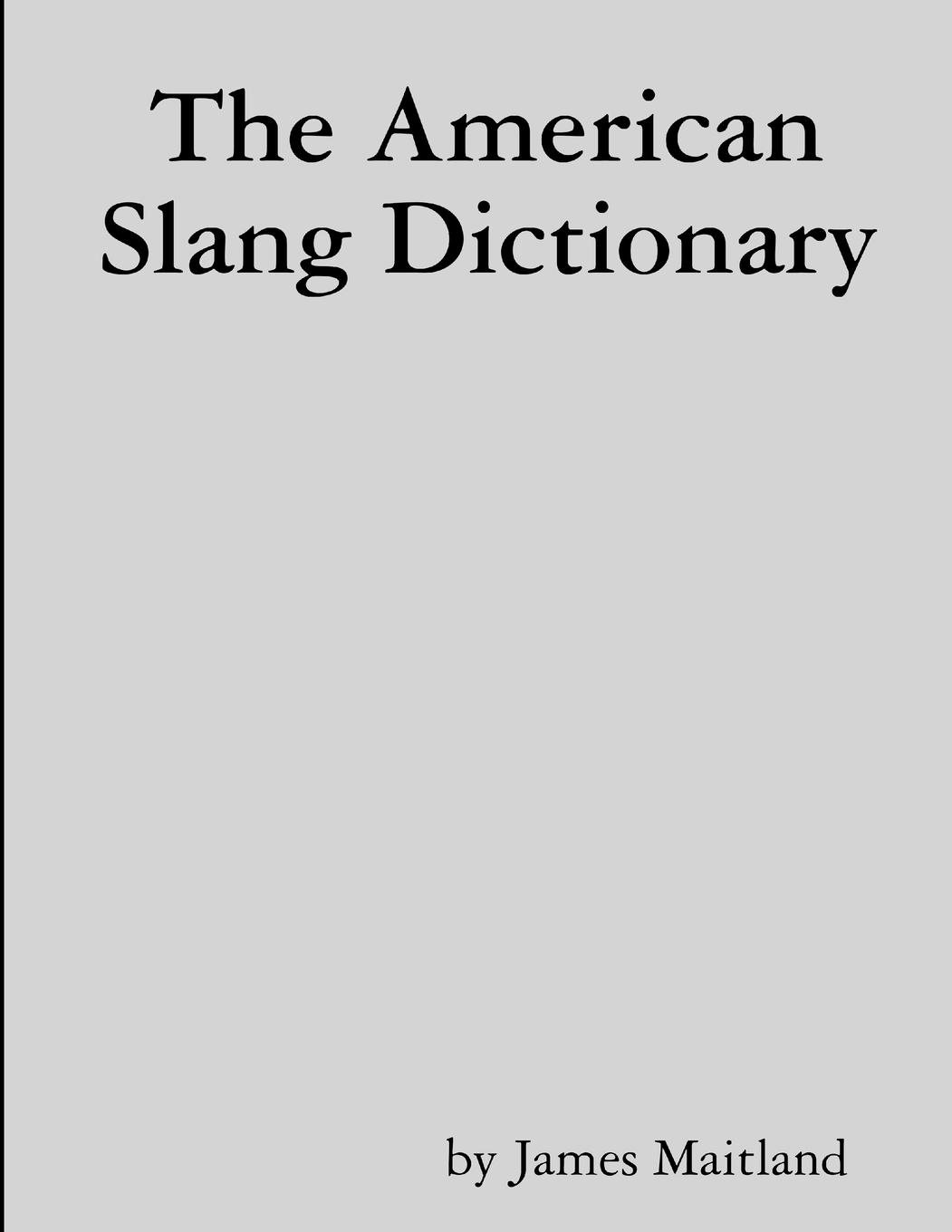 Vorderes Coverbild The American Slang Dictionary