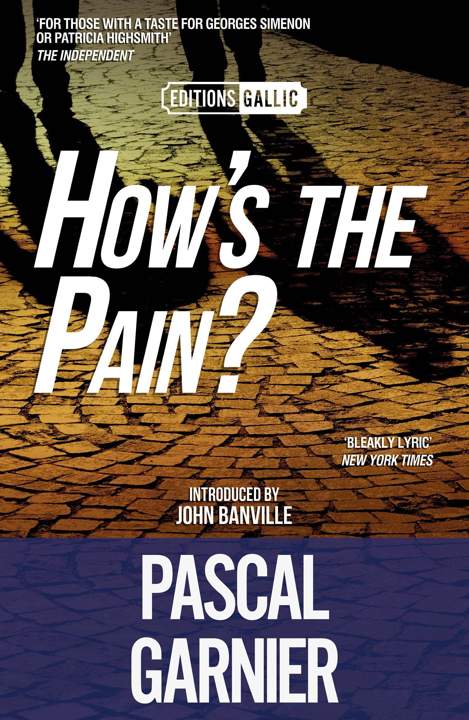 Vorderes Coverbild How's the Pain?