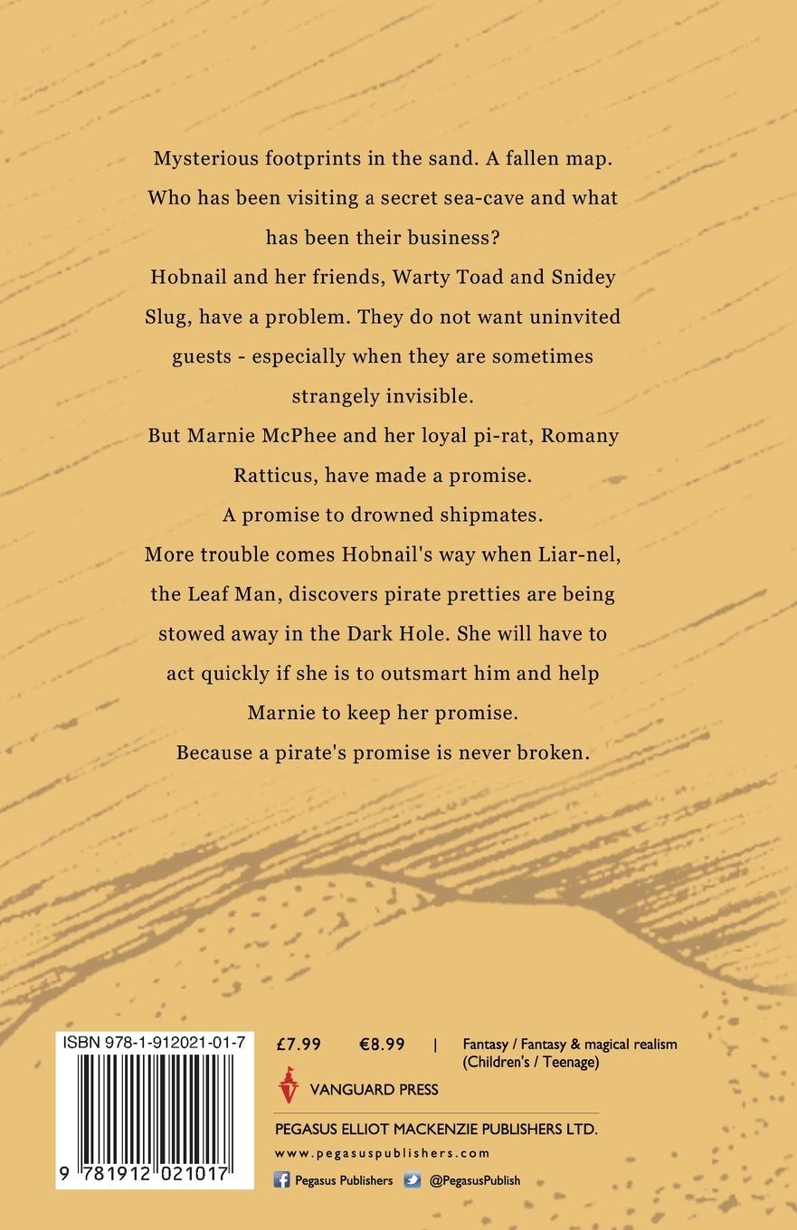 Rückseitencover A Pirate's Promise