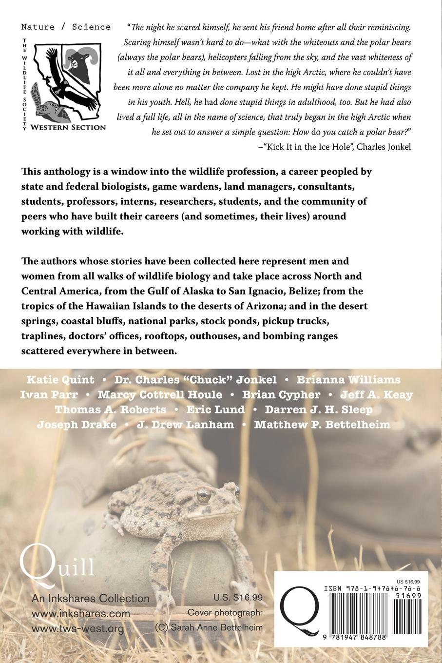 Rückseitencover The Wildlife Confessional