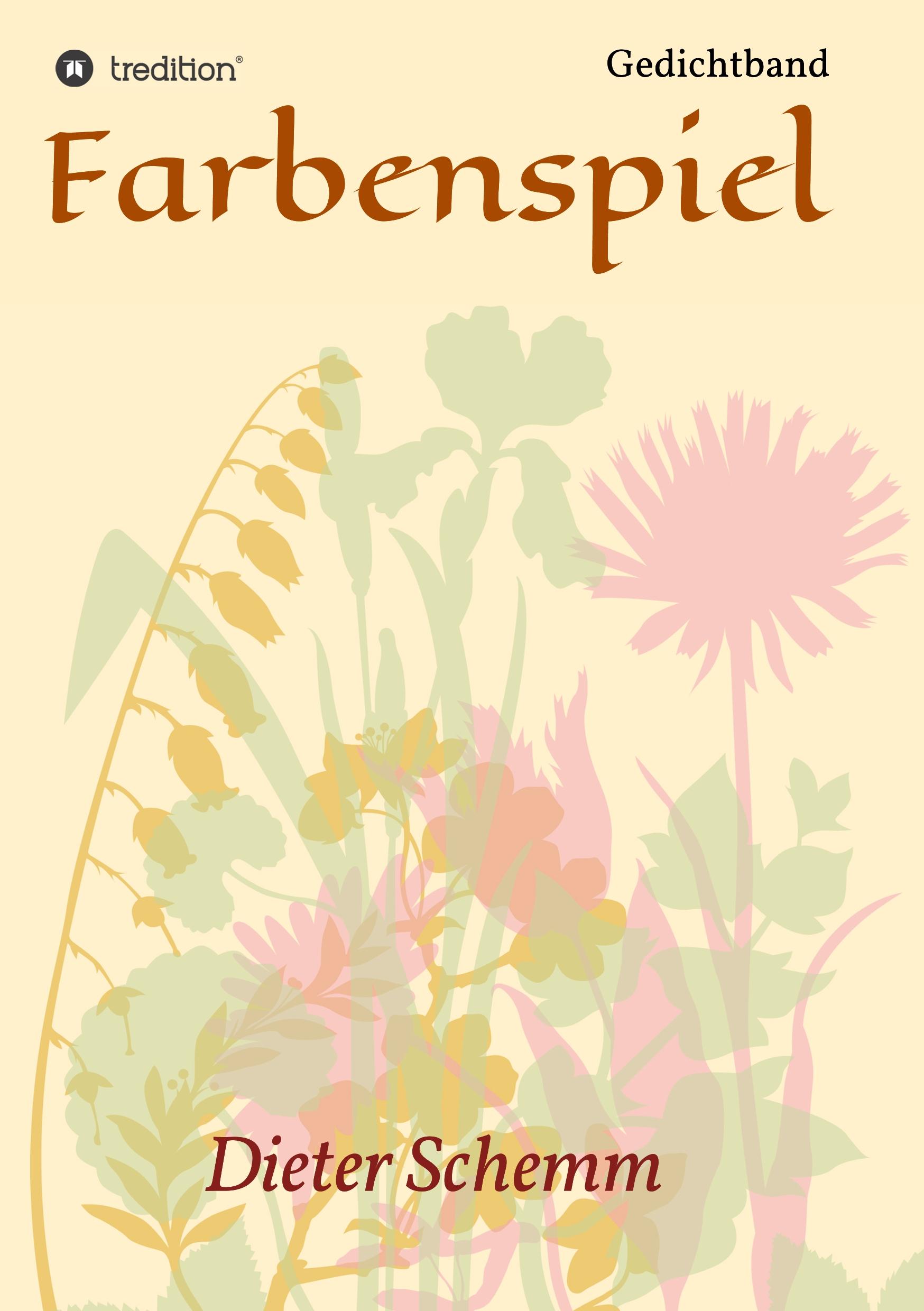 Vorderes Coverbild Farbenspiel