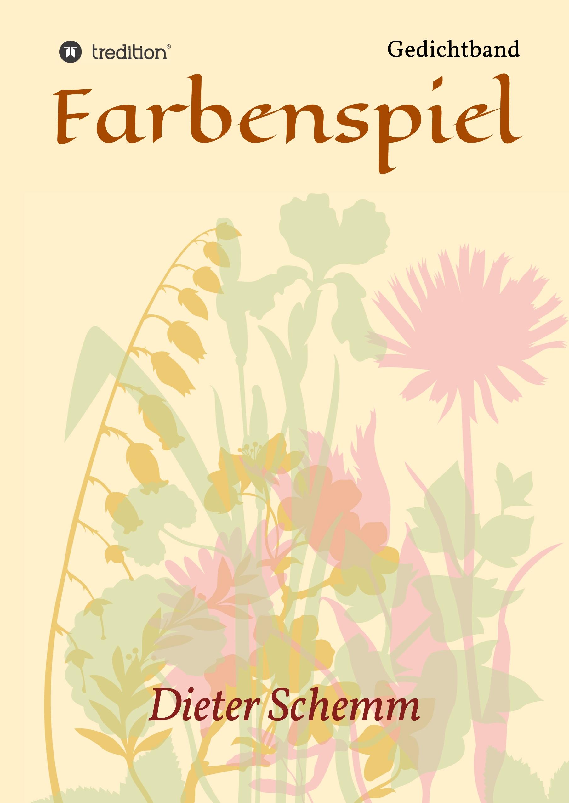 Vorderes Coverbild Farbenspiel