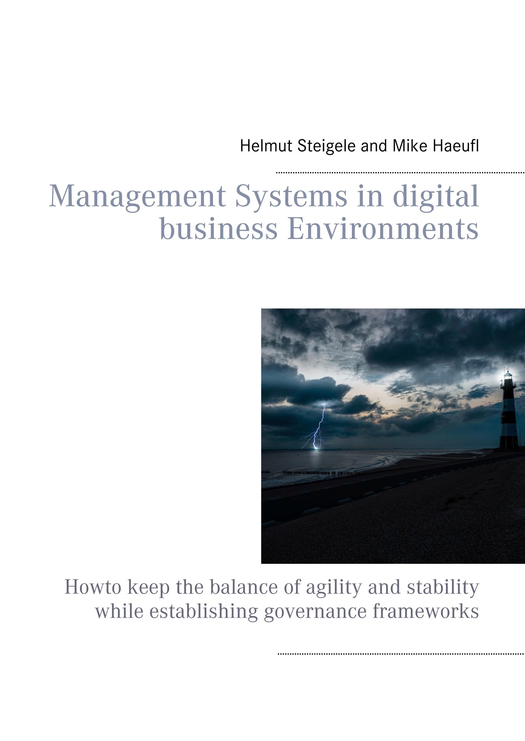 Vorderes Coverbild Management Systems in digital business Environments
