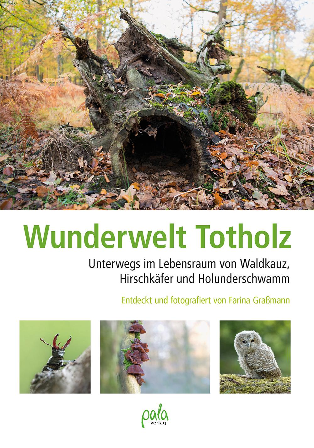 Vorderes Coverbild Wunderwelt Totholz