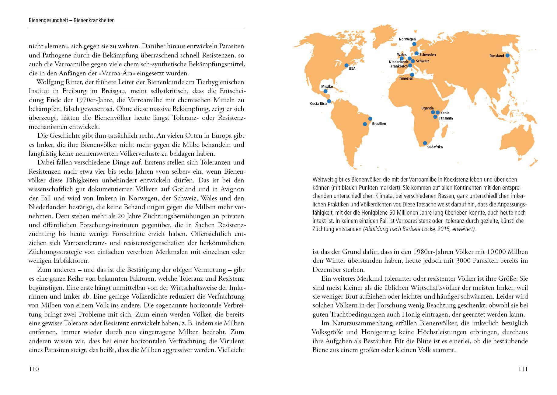 Beispielinhalt (Bild) Imkern mit der Einraumbeute