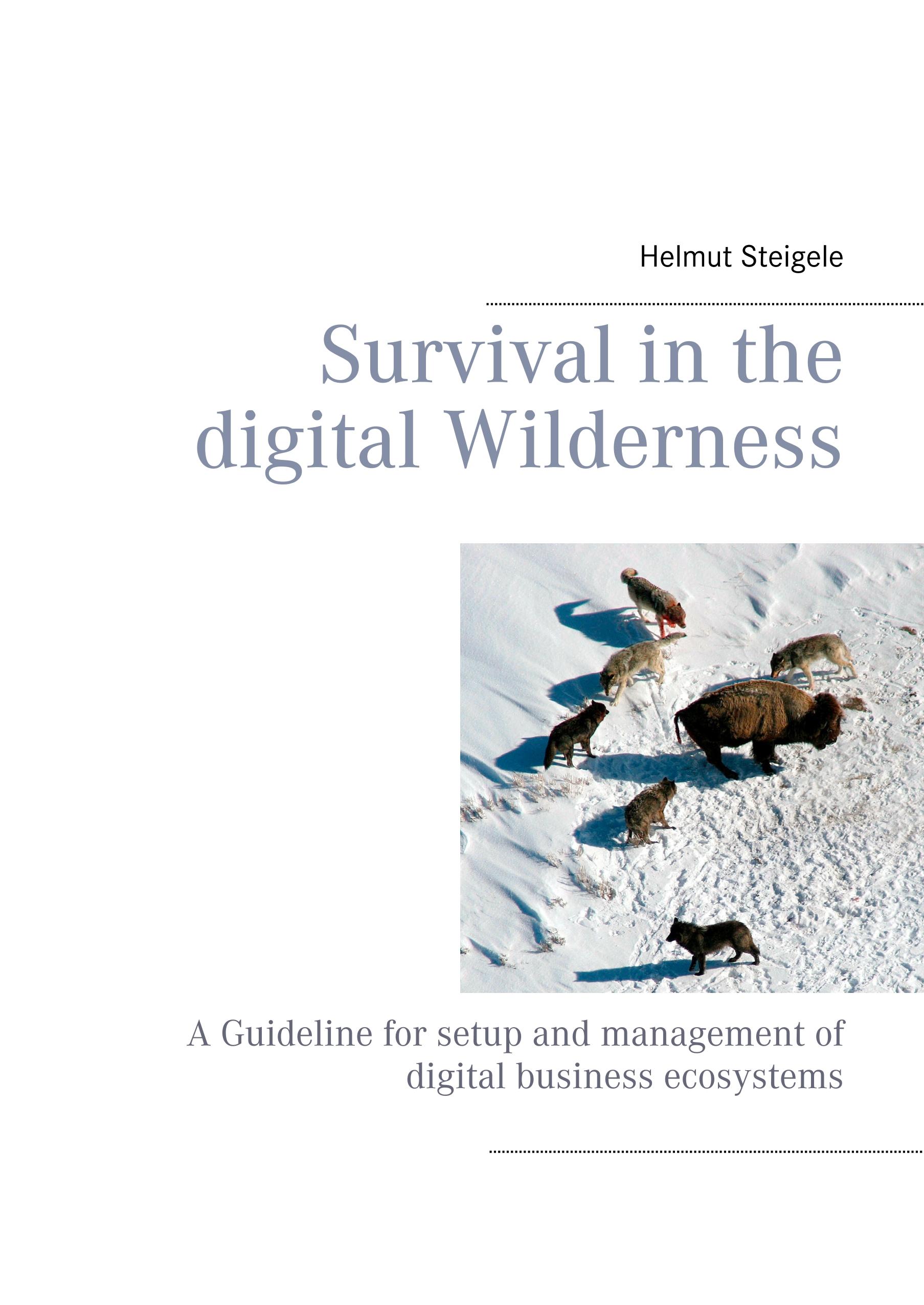 Vorderes Coverbild Survival in the digital Wilderness