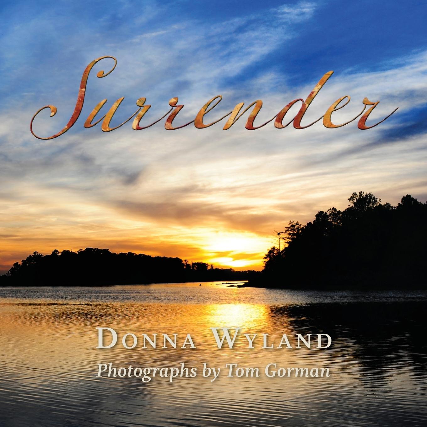 Vorderes Coverbild Surrender