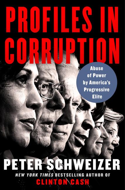 Vorderes Coverbild Profiles in Corruption