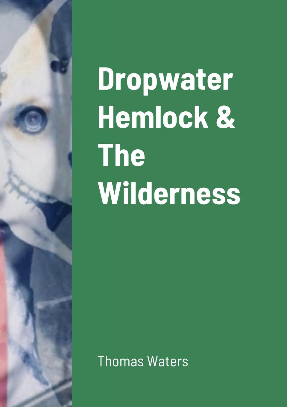 Vorderes Coverbild Dropwater Hemlock & The Wilderness