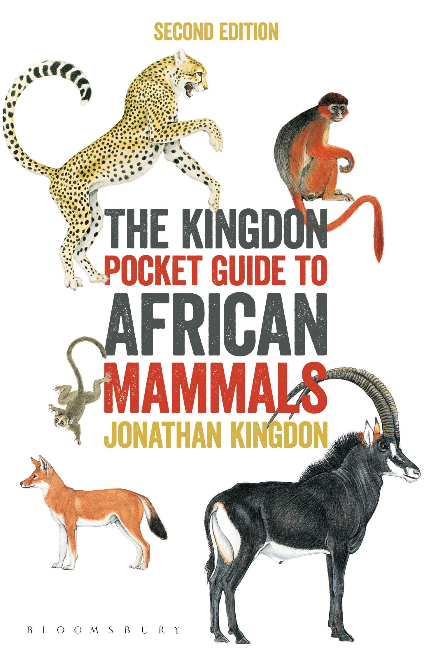 Vorderes Coverbild The Kingdon Pocket Guide to African Mammals