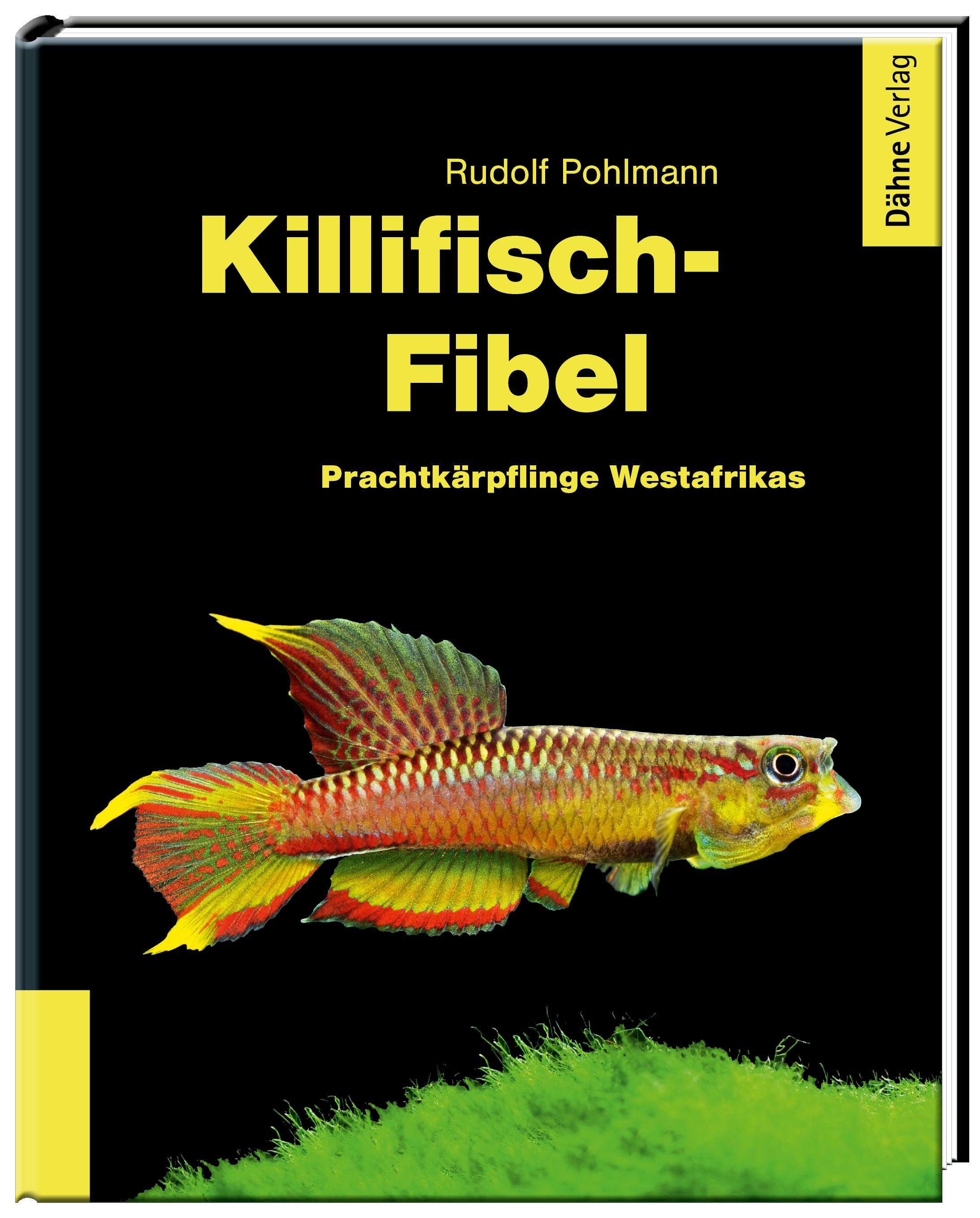Vorderes Coverbild Killifisch-Fibel