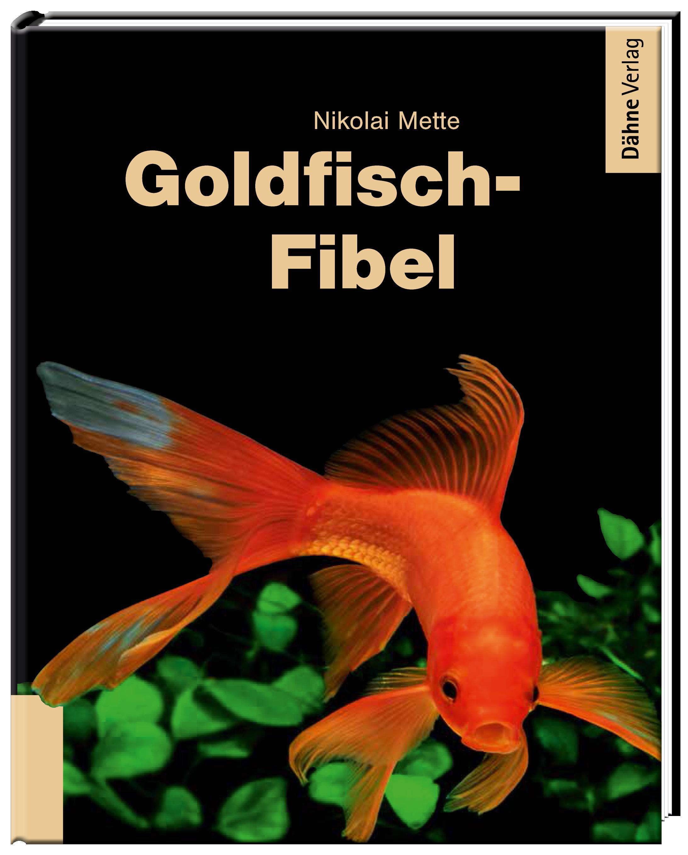 Vorderes Coverbild Goldfisch-Fibel
