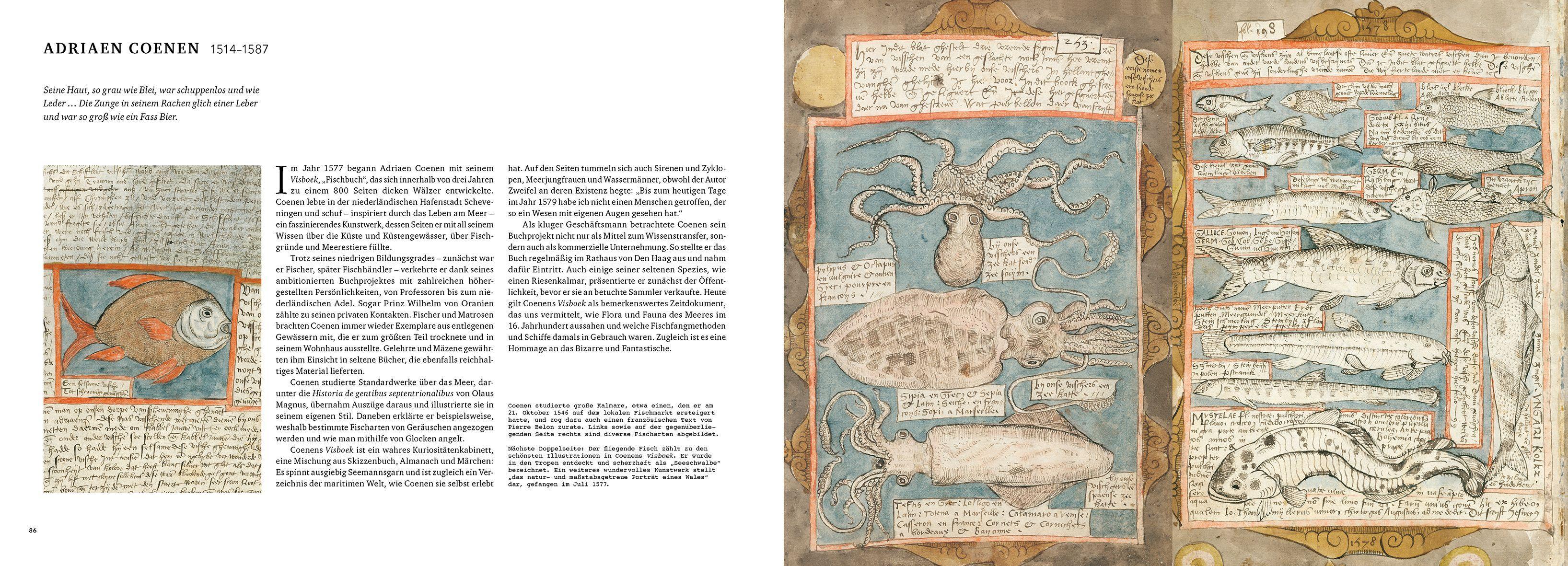 Beispielinhalt (Bild) Das Buch des Meeres